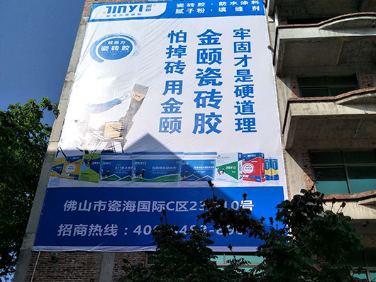 关于金颐